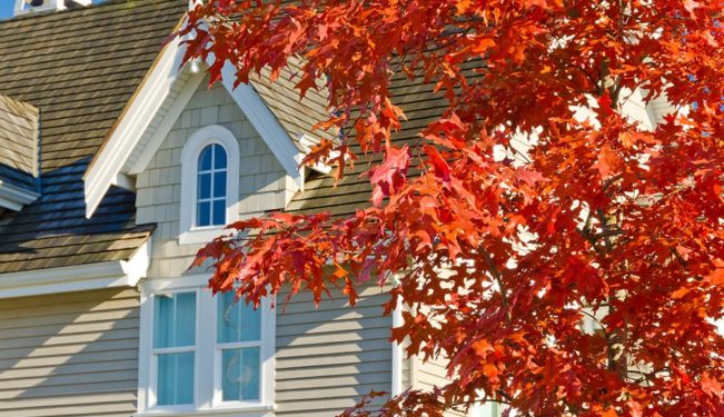 fall renovations kansas city